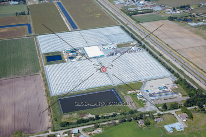 Southeast(Boundary Bay Airport) Area - Delta, BC, Canada